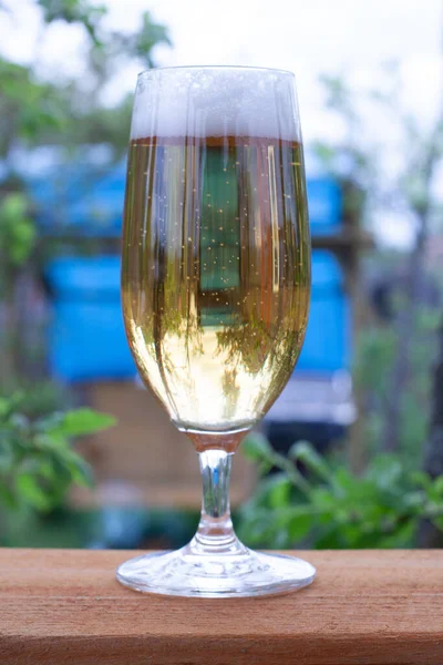 Copo Vidro Com Cerveja Gelada Uma Noite Quente Natureza Cerveja — Fotografia de Stock