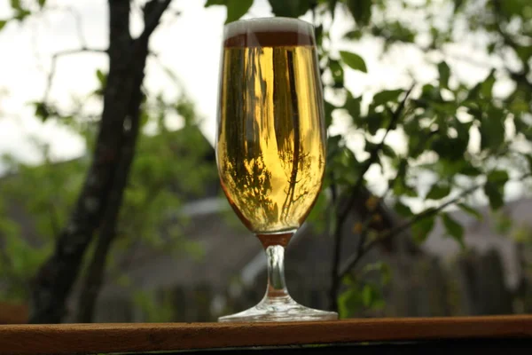 在大自然温暖的夜晚 喝一杯加冰啤酒的玻璃杯 烤架上着火的背景下的啤酒 — 图库照片
