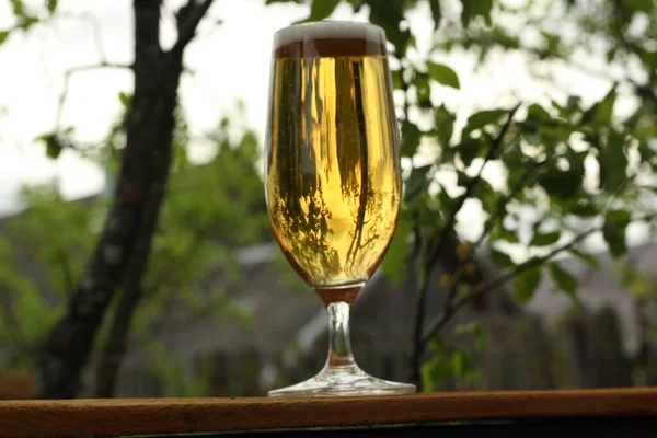 Copo Vidro Com Cerveja Gelada Uma Noite Quente Natureza Cerveja — Fotografia de Stock