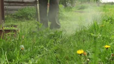 Bir adam çimleri bir gaz makinesiyle biçiyor..