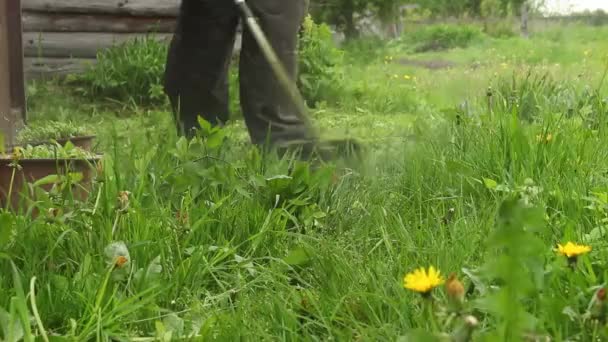압축기로 잔디를 — 비디오