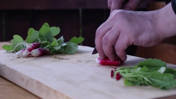 Slicing Fresh Radishes Wooden Board Close Food Preparation — Stock Video