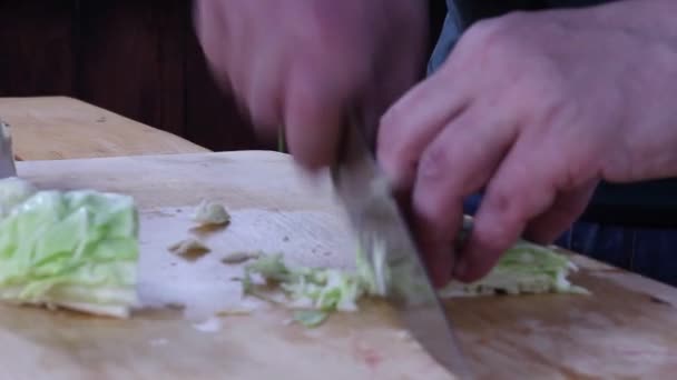 Rebanando Repollo Fresco Con Cuchillo Preparación Alimentos Legumbres — Vídeos de Stock
