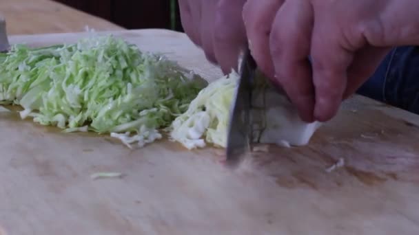 Trancher Chou Frais Avec Couteau Préparation Des Aliments Légumes — Video