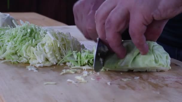 Affettare Cavolo Fresco Con Coltello Preparazione Del Cibo Ortaggi — Video Stock