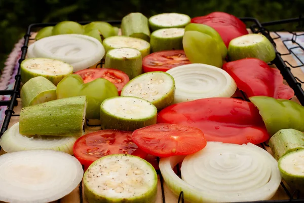 Salz Und Pfeffer Geschnittenes Gemüse Paprika Zwiebeln Tomaten — Stockfoto