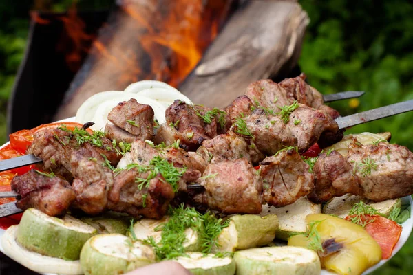 Uma Bandeja Com Carne Espetos Polvilhados Com Ervas Legumes Grelhados — Fotografia de Stock