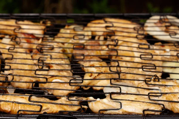 Grillat Kött Och Grönsaker Tallrik Kyckling Kött Peppar Lök Tomater — Stockfoto