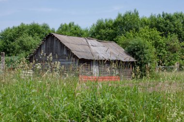 Tarlada eski bir ahır. yaz.
