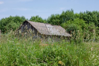 Tarlada eski bir ahır. yaz.
