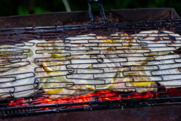 Pieces Red Fish Lemon Onion Grill Cooking Fish Coals — Stock Photo, Image