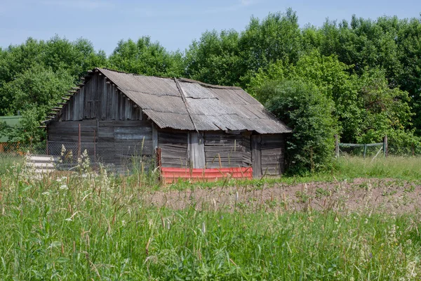 an old wooden barn in a field. summer.