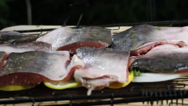 Der Koch Legt Rote Fischstücke Auf Den Grill Kochen Auf — Stockvideo