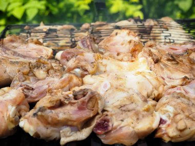 Tabakta ızgara lezzetli tavuk. Barbeküler.