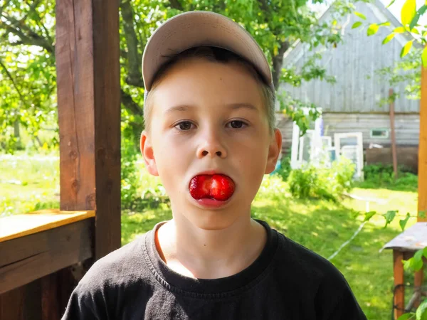 少年は大きな新鮮なイチゴを食べています — ストック写真
