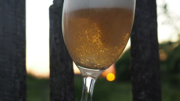 Sunset Work Man Pours Beer Glass Glass Cool Summer Video — Stock Video