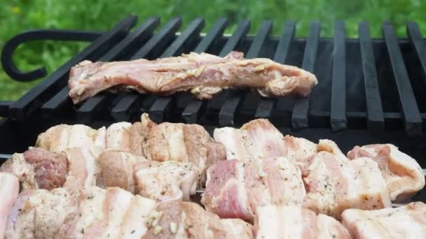 Cocinero Pone Carne Parrilla Cocinar Carne Fuego Vídeo — Vídeos de Stock