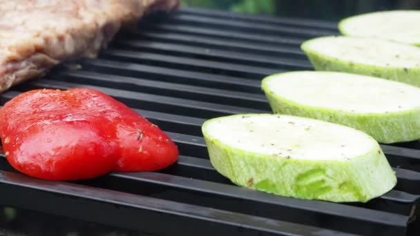 Kucharz Przygotowuje Warzywa Mięsem Grillu Pieczenie Ogniu Wideo — Wideo stockowe
