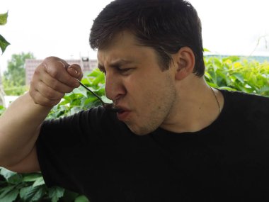 Aşçı sosu çay kaşığıyla dener. Yemek hazırlama. Yiyecek numunesi..