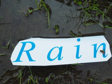 Kes-yazıyı kes. Yağmur. Su birikintisi, ıslak çimenler.