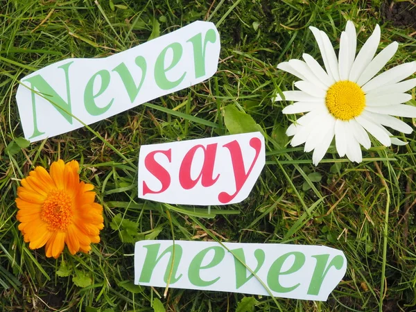 English proverb. an inscription of carved letters on the grass. never say never