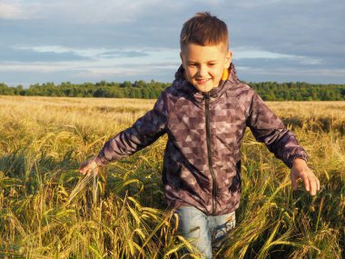 Gülümseyen bir çocuk çavdar tarlasında koşar. Hasat. Yaz sonu.