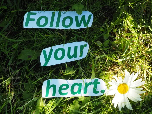 English proverb. cut the words. Follow your heart