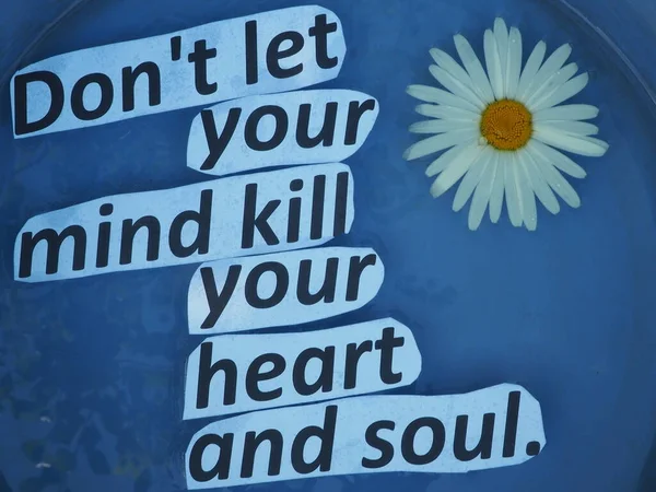 English Proverb Expression Don Let Your Mind Kill Your Heart — Stock Photo, Image