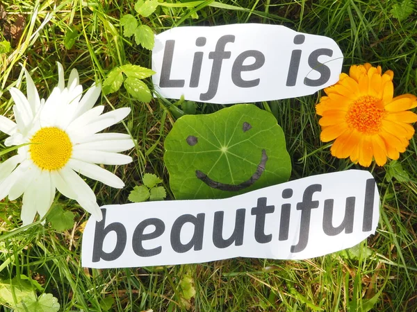 English Proverb Expression Life Beautiful — Stock Photo, Image