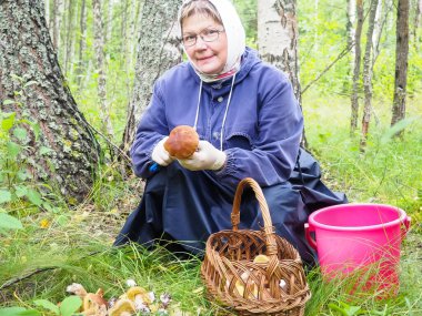Ormanda mantar toplayan bir kadın. Mantar temizliği. hobi