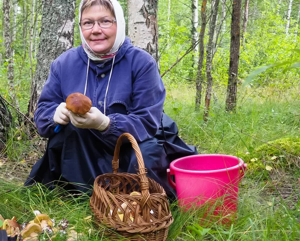 Ormanda mantar toplayan bir kadın. Mantar temizliği. hobi