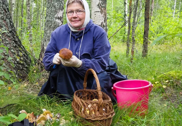 Ormanda mantar toplayan bir kadın. Mantar temizliği. hobi