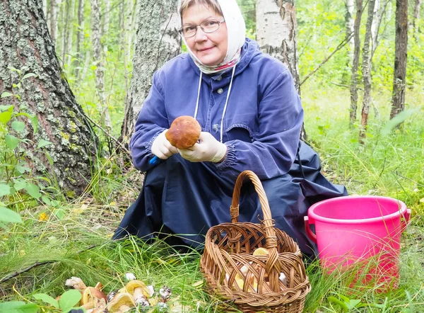 Ormanda mantar toplayan bir kadın. Mantar temizliği. hobi