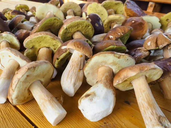 Ahşap bir masada porcini mantarı. Doku. poster.