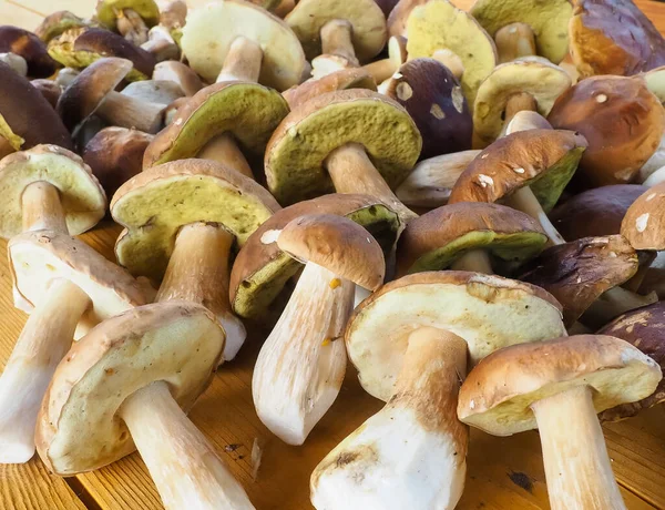 Ahşap bir masada porcini mantarı. Doku. poster.