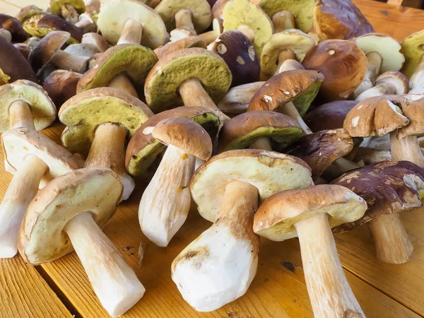 Ahşap bir masada porcini mantarı. Doku. poster.