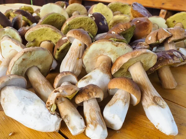 Ahşap bir masada porcini mantarı. Doku. poster.