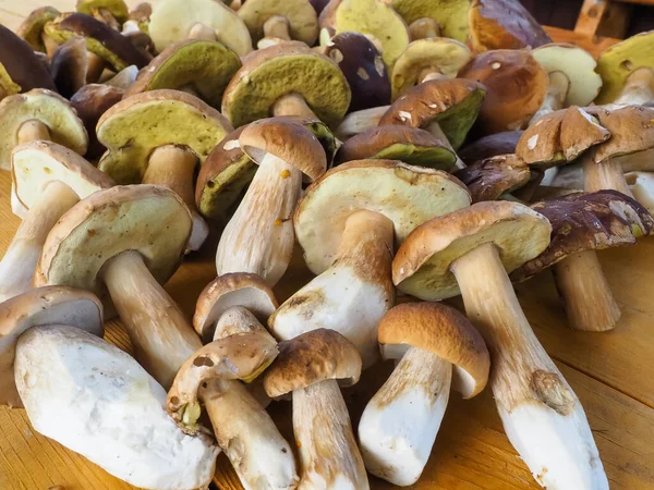 Ahşap bir masada porcini mantarı. Doku. poster.