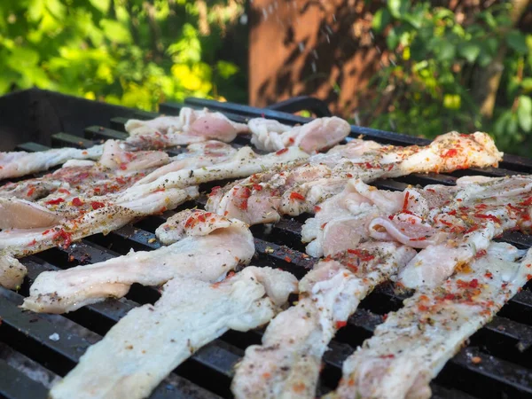 Izgarada kızarmış pastırma. Altın hamurlu baharatlı pastırma. Piknikte yemek pişirmek