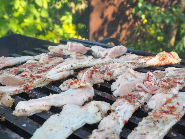 Izgarada kızarmış pastırma. Altın hamurlu baharatlı pastırma. Piknikte yemek pişirmek