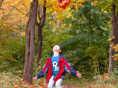 Çocuk havaya renkli yapraklar fırlatıyor. Sonbahar Parkı. Temiz havada yürüyorum. mutluluk