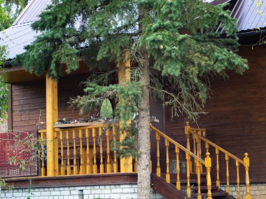 Çam ormanındaki bir kır evinin verandasında. Kırsalda ahşap bir ev.