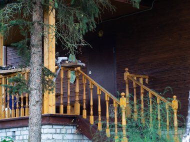 Çam ormanındaki bir kır evinin verandasında. Kırsalda ahşap bir ev.