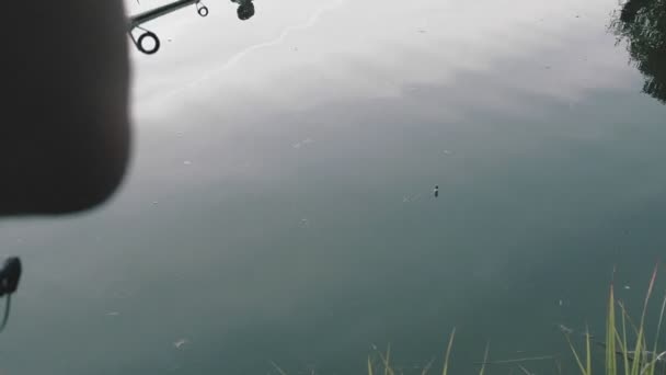 池の釣竿。浮き棒を噛み. — ストック動画