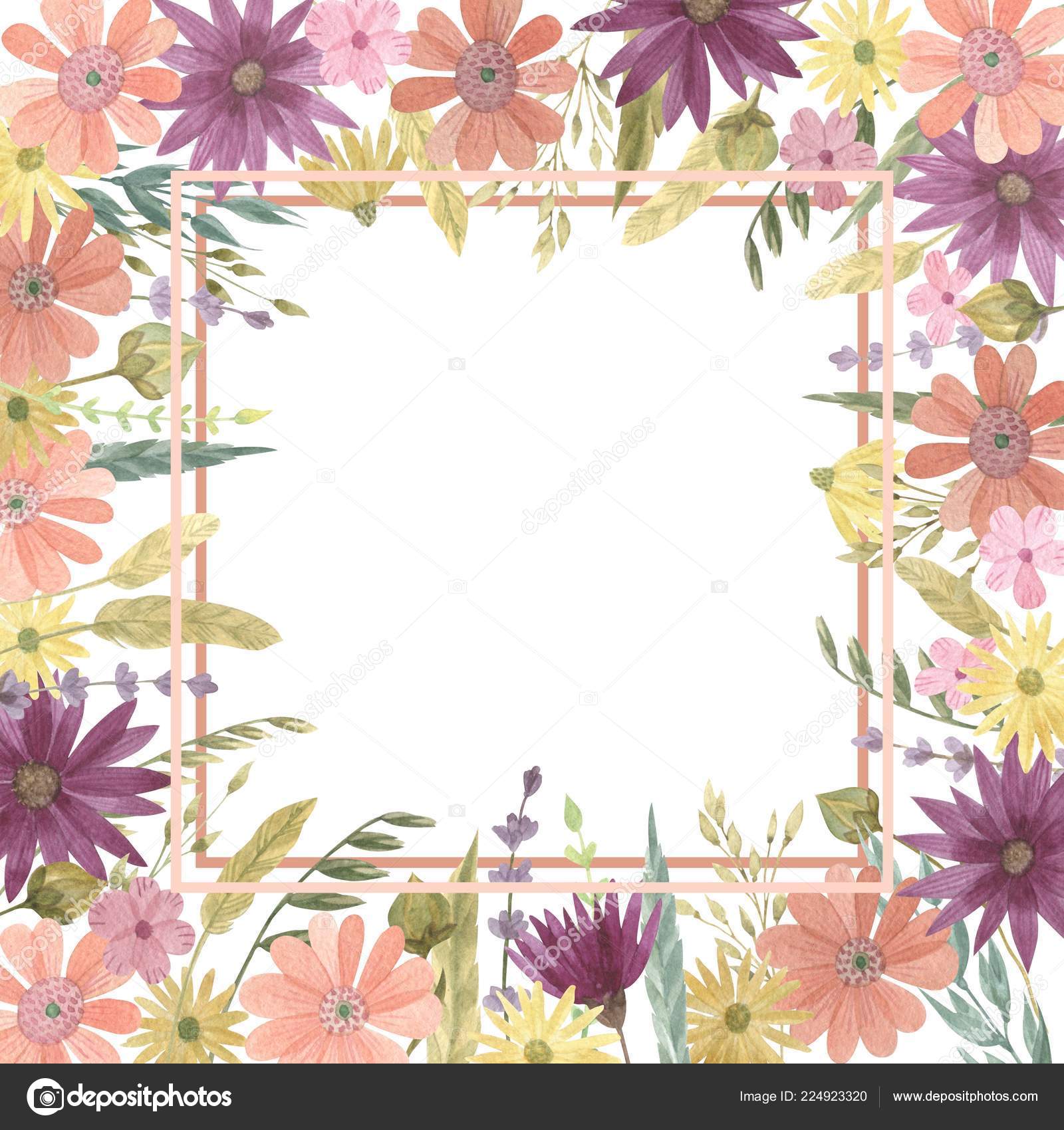 Watercolor Frame Border Purple Pink Yellow Flowers Branches Leaves Foliage Stock Photo Image By C Zaliko Watercolor Frame Border Purple Pink Yellow Flowers Branches Leaves Foliage Stock Photo Image By C Zaliko