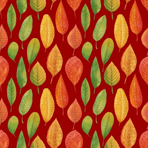手绘的秋叶 水彩和铅笔 无缝图案秋天叶子可爱的打印为包装纸 明信片 — 图库照片