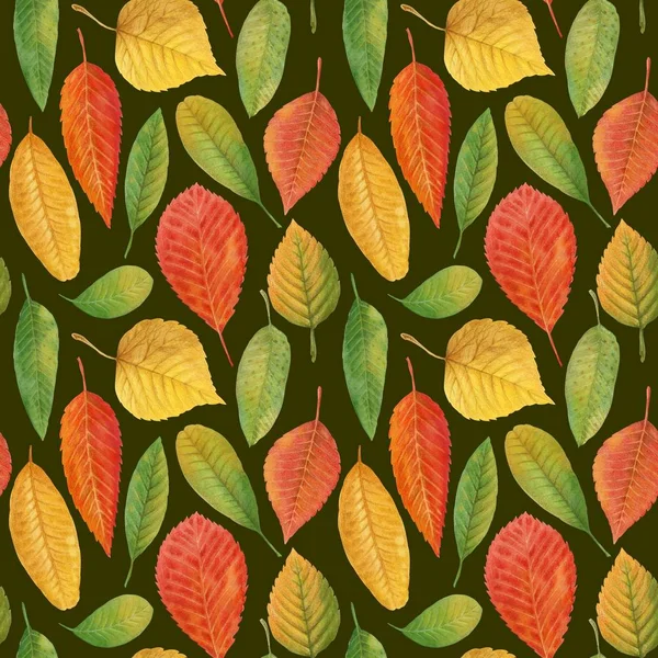 Ręcznie Rysowane Jesiennych Liści Akwarela Ołówki Jednolity Wzór Jesień Liście — Zdjęcie stockowe