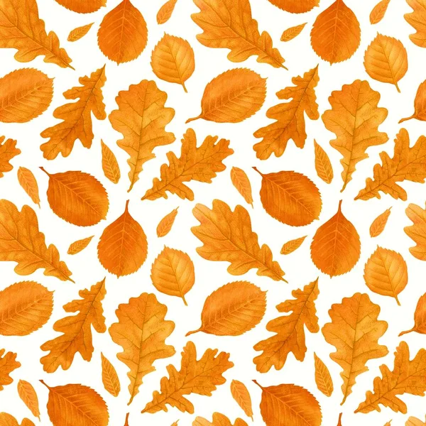 Hand Drawn Autumn Foliage Watercolor Pencils Seamless Pattern Autumn Leaves — Stock Photo, Image