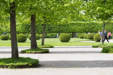Güneşli bir günde Peterhof, Rusya'nın üst Bahçe.