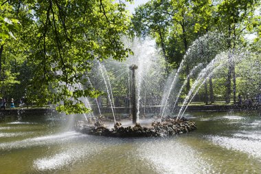 St. Petersburg, Rusya Federasyonu-4 Haziran, 2018: Peterhof, St. Petersburg aşağı Parkı bahçede güneş çeşme